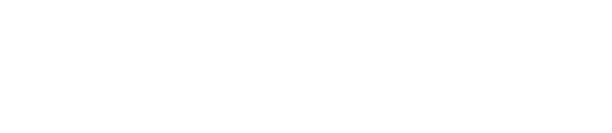 Lion Labs